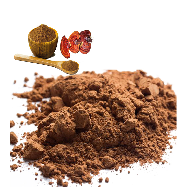 Non-GMO Red Reishi Powder for Clean-Label Products