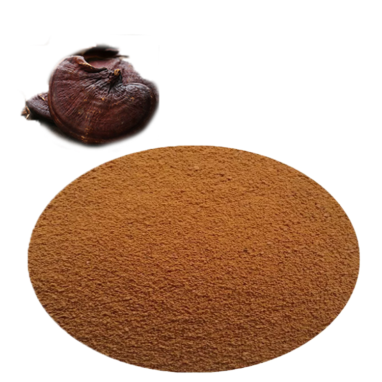 Top Benefits of Red Ganoderma Mushroom Extract You Should Know