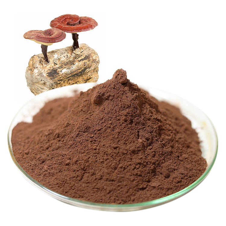Buy Certified Organic Mushroom Powder and Certified Organic Ganoderma Lucidum Powder and Red Reishi Mushroom Extract Online - Health Benefits & Uses