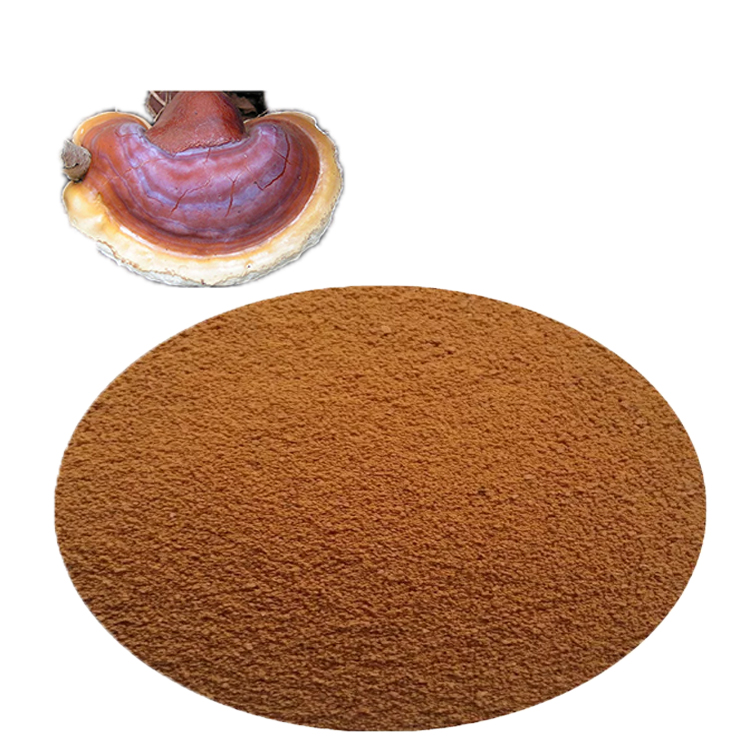 What Makes Lingzhi “The Mushroom of Immortality”?