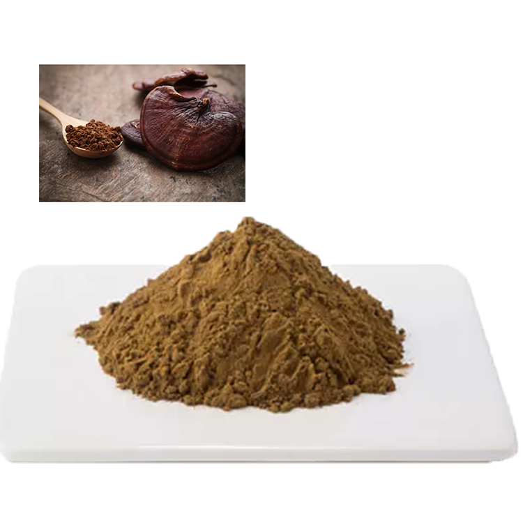 Organic Red Reishi Powder: A Natural Stress Reliever