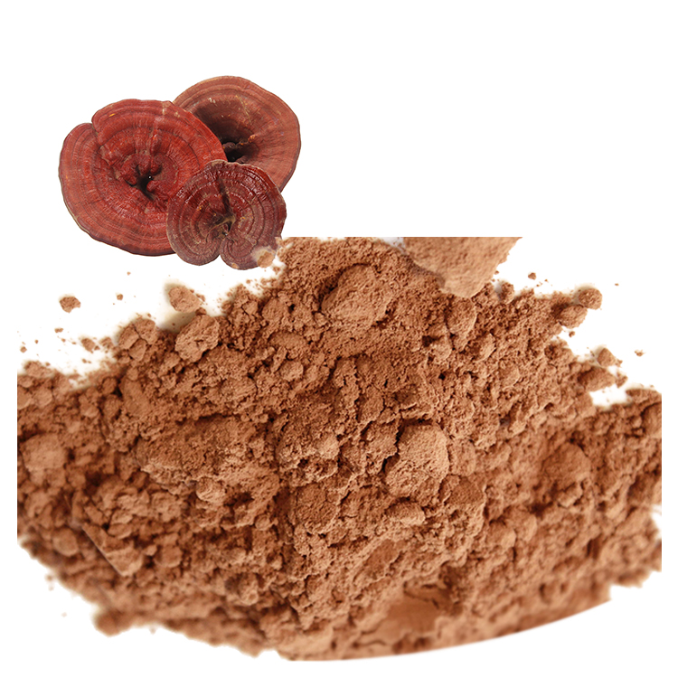 Trusted Suppliers of USDA Certified Reishi Mushroom Extract