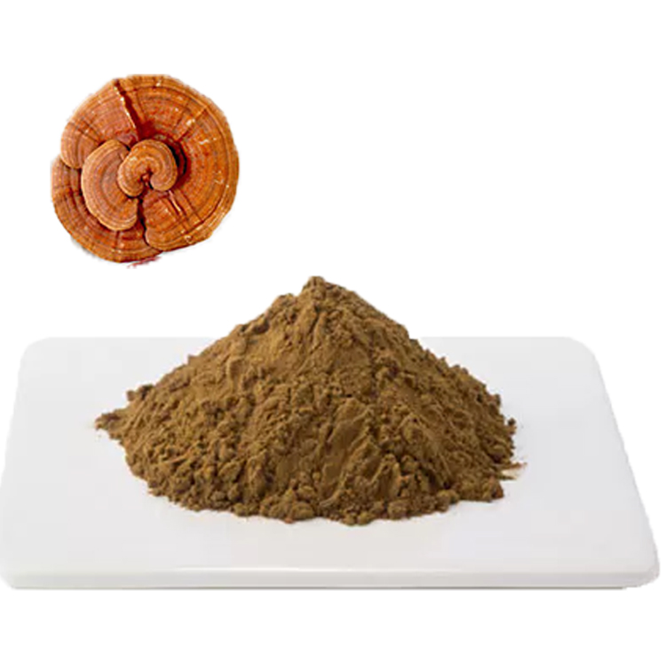 What Makes Lingzhi “The Mushroom of Immortality”?