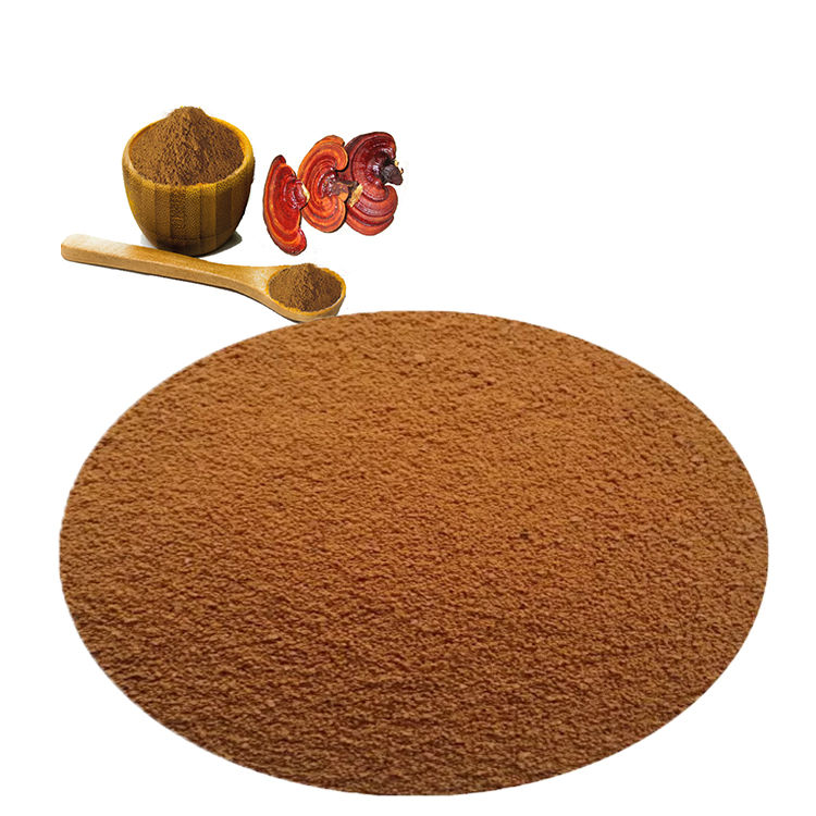 Top Benefits of Red Ganoderma Mushroom Extract You Should Know