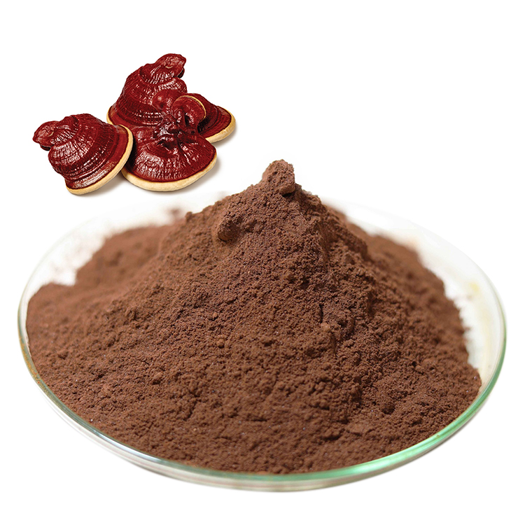 Buy Certified Organic Mushroom Powder and Certified Organic Ganoderma Lucidum Powder and Red Reishi Mushroom Extract Online - Health Benefits & Uses