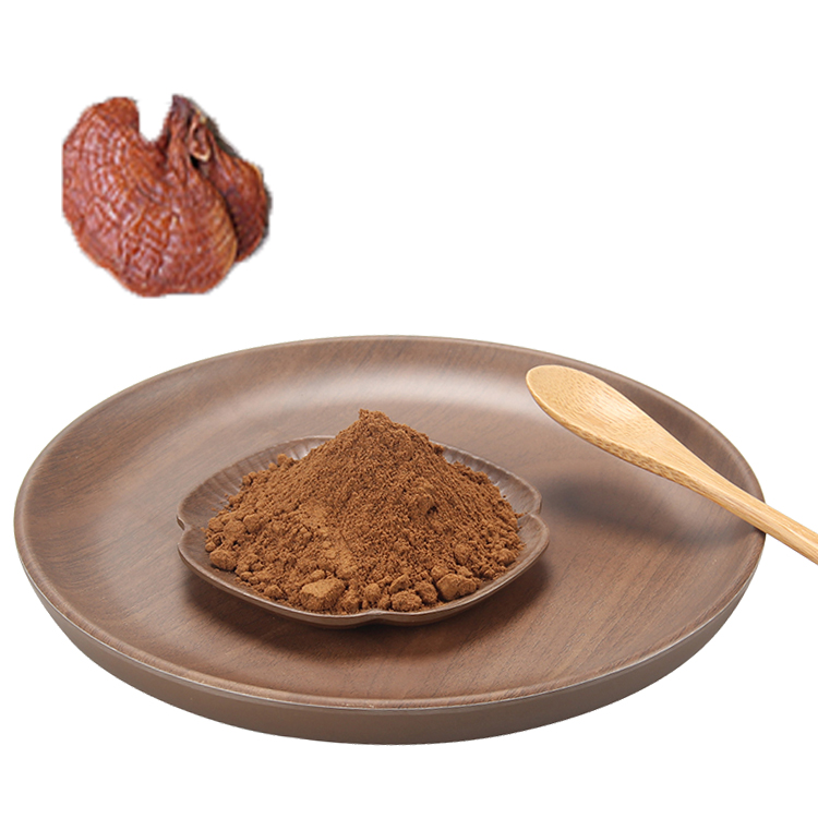 The Ultimate Guide to Choosing Red Ganoderma Mushroom Extract Supplement for Health