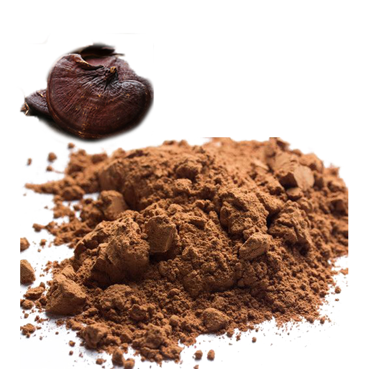 Best USDA Organic Red Reishi Mushroom Powder for Immunity