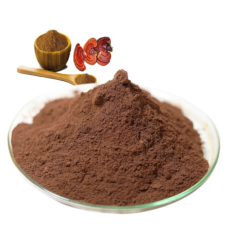 Buy USDA Certified Organic Ganoderma Powder and Organic Ganoderma Lucidum Extract Online - Health Benefits & Uses