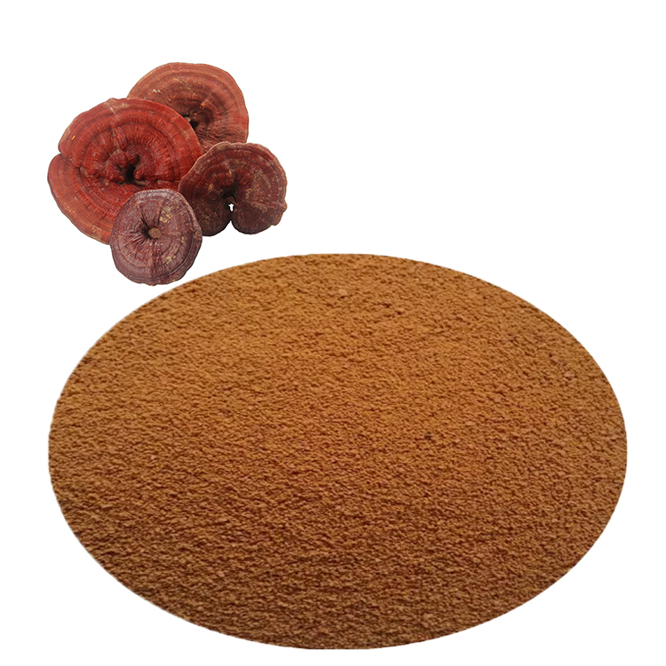 Unlocking the Power of Red Reishi Mushroom Extract