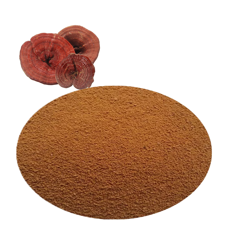 The Ultimate Guide to Organic Red Reishi Mushroom Supplement