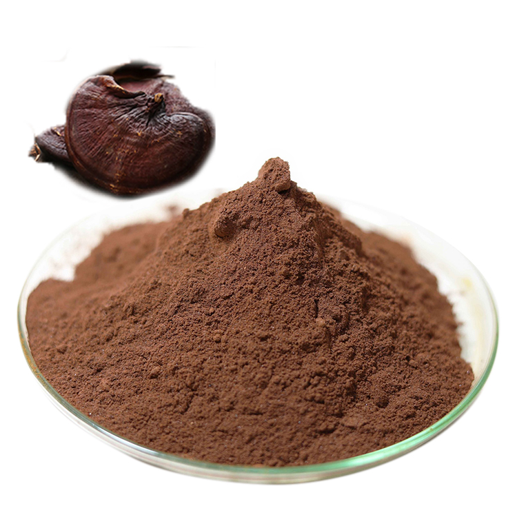 Buy USDA Certified Organic Ganoderma Powder and Organic Ganoderma Lucidum Extract Online - Health Benefits & Uses