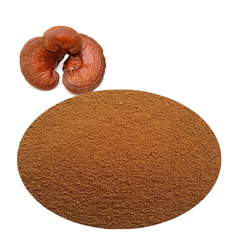 What Makes Lingzhi “The Mushroom of Immortality”?