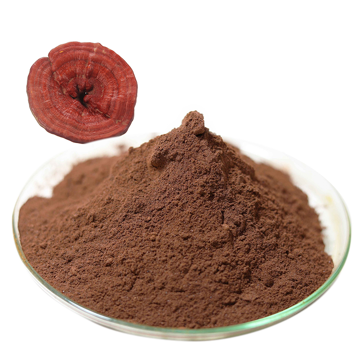 The Ultimate Guide to Organic Red Reishi Mushroom Supplement