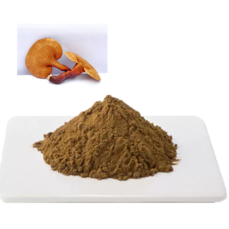 Organic Red Reishi Powder: A Natural Stress Reliever