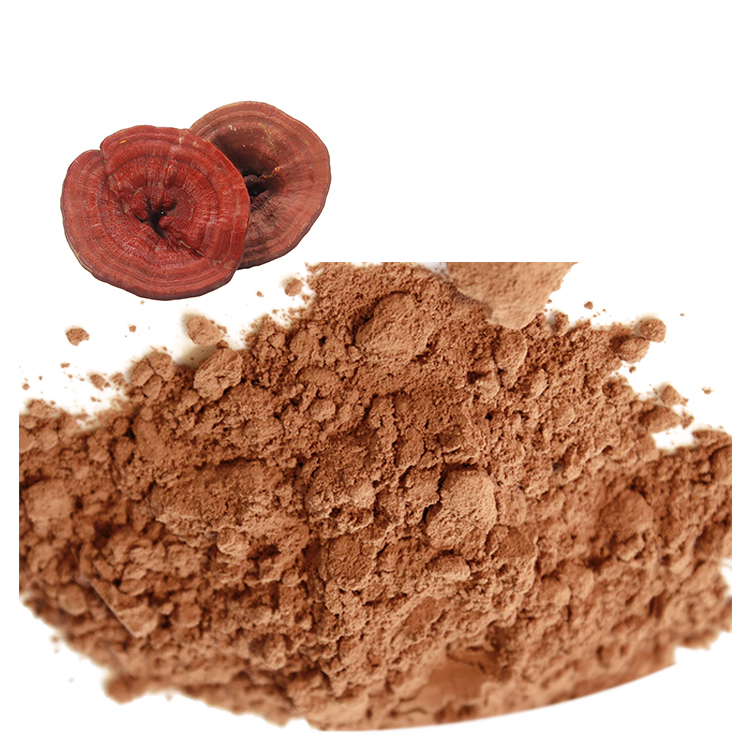 Trusted Suppliers of USDA Certified Reishi Mushroom Extract