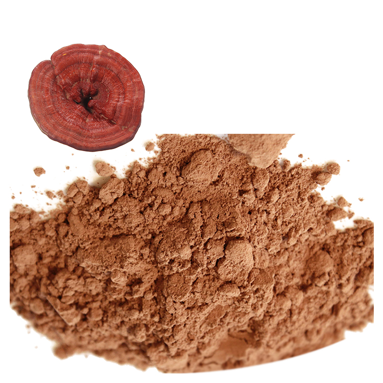 Trusted Suppliers of USDA Certified Reishi Mushroom Extract