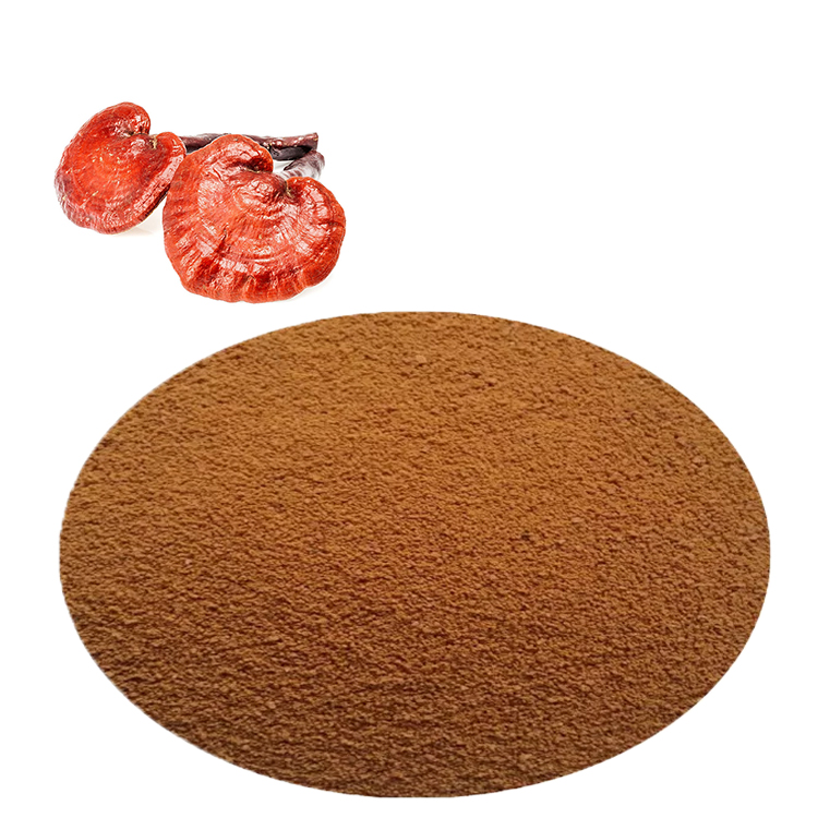 Ganoderma Lucidum: Ancient Wisdom Meets Modern Science