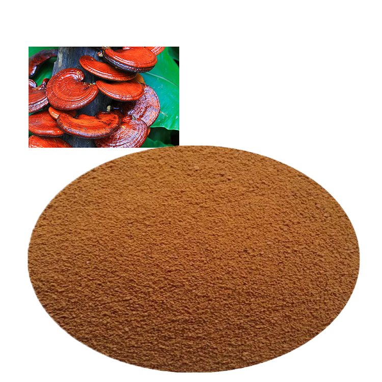 Ganoderma Lucidum: Ancient Wisdom Meets Modern Science