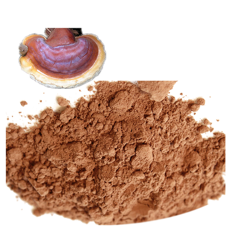 Trusted Suppliers of USDA Certified Reishi Mushroom Extract