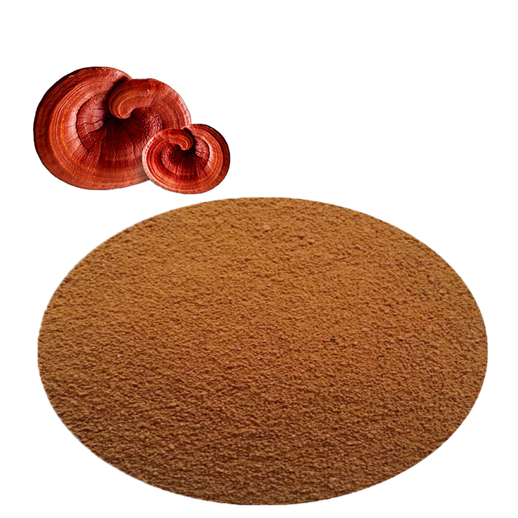 Ganoderma Lucidum: Ancient Wisdom Meets Modern Science