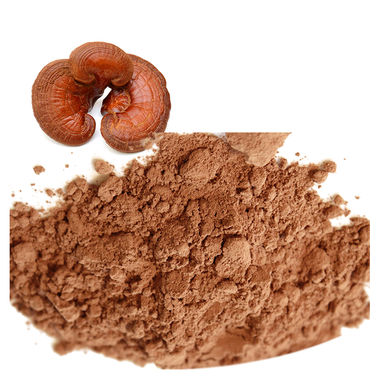 What Makes a Premium Red Reishi Extract Worth the Price?