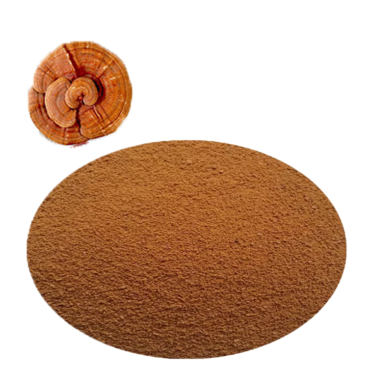 Ganoderma Lucidum: Ancient Wisdom Meets Modern Science