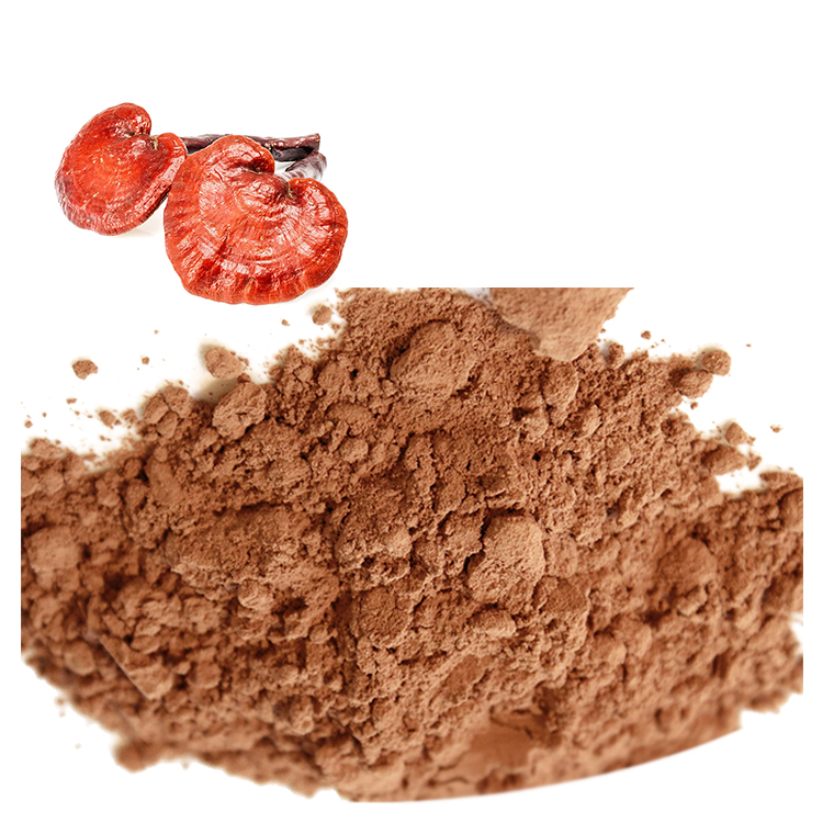 How to Buy Red Reishi Extract Powder in Bulk Online
