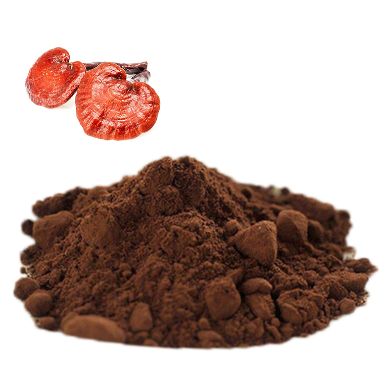 Why Red Reishi Mushroom Is a Top Health Supplement in Asia
