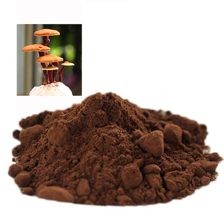 Red Reishi for Brain Function: Does It Help?
