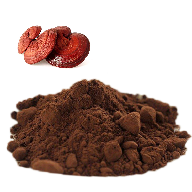 Red Reishi for Brain Function: Does It Help?