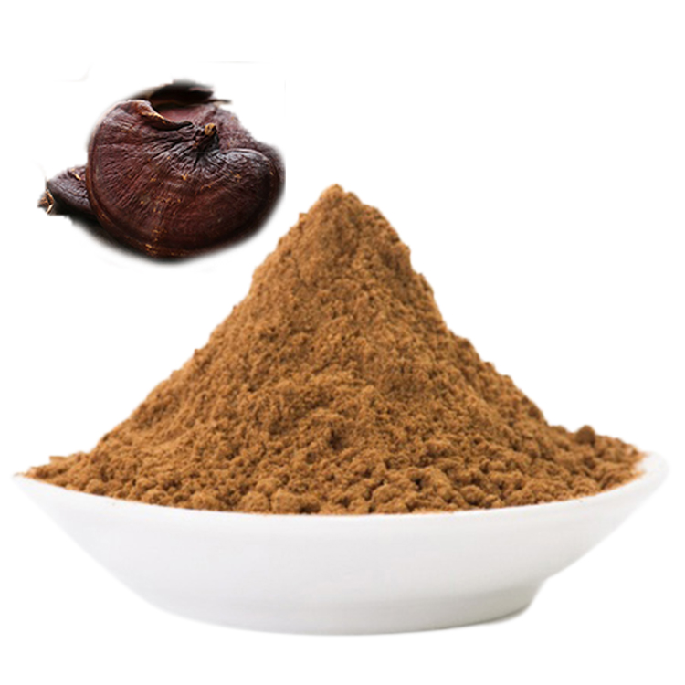 Organic Red Reishi vs Non-Organic: Key Differences