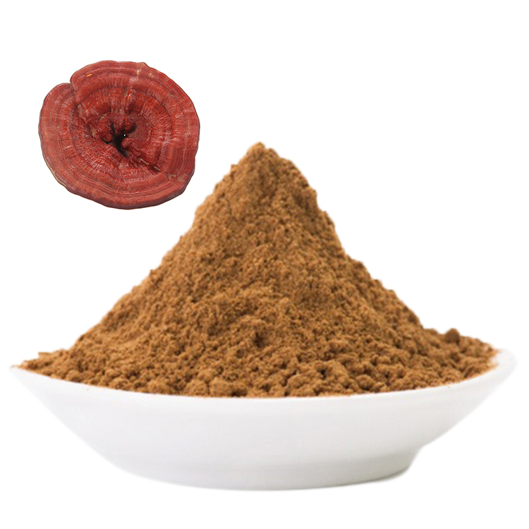 Organic Red Reishi vs Non-Organic: Key Differences
