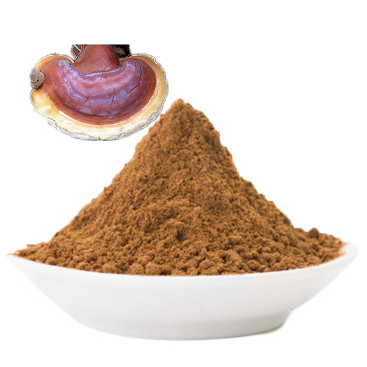 How to Verify the Strength of Your Reishi Extract