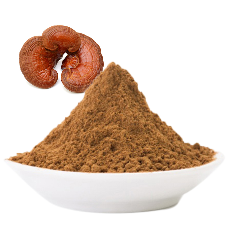 Organic Red Reishi vs Non-Organic: Key Differences
