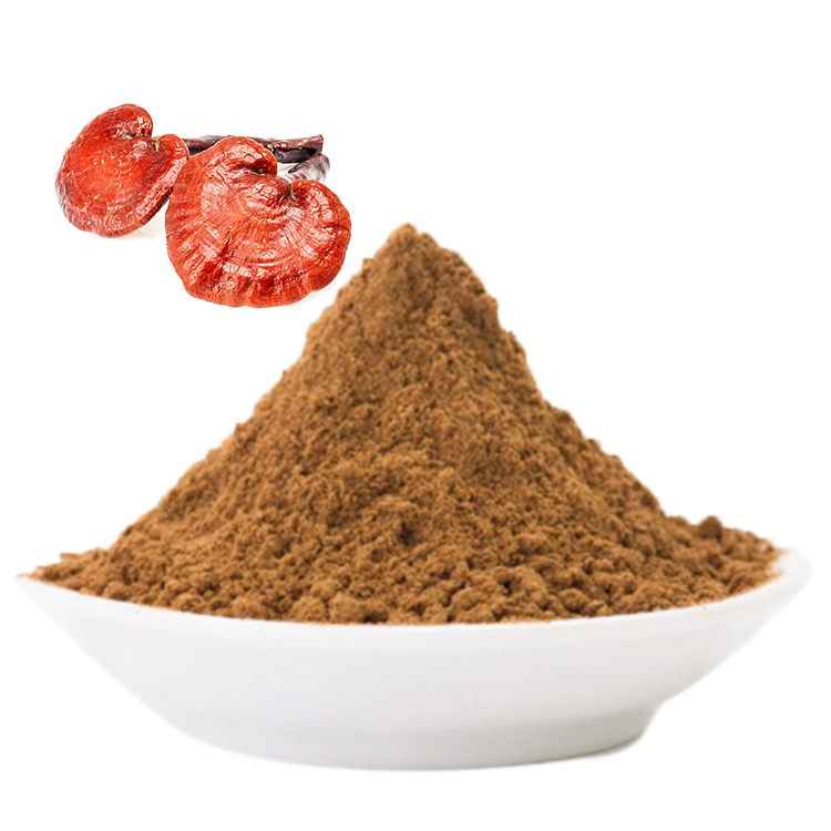 How to Verify the Strength of Your Reishi Extract