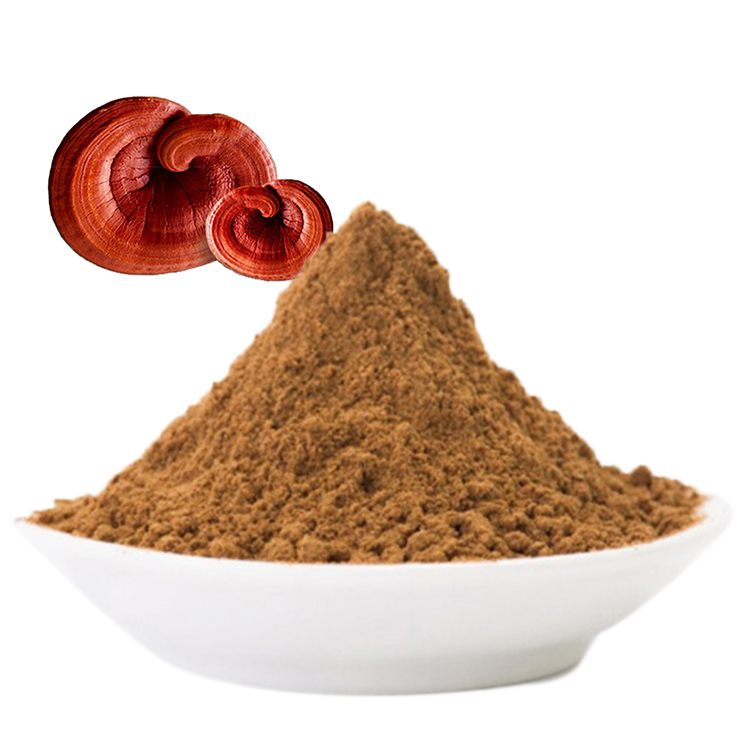 Organic Red Reishi vs Non-Organic: Key Differences