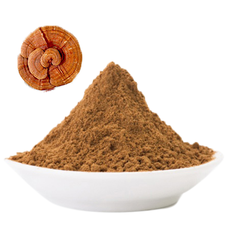 Organic Red Reishi vs Non-Organic: Key Differences