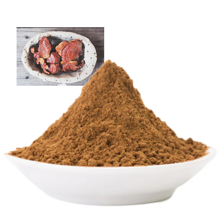 Organic Red Reishi vs Non-Organic: Key Differences