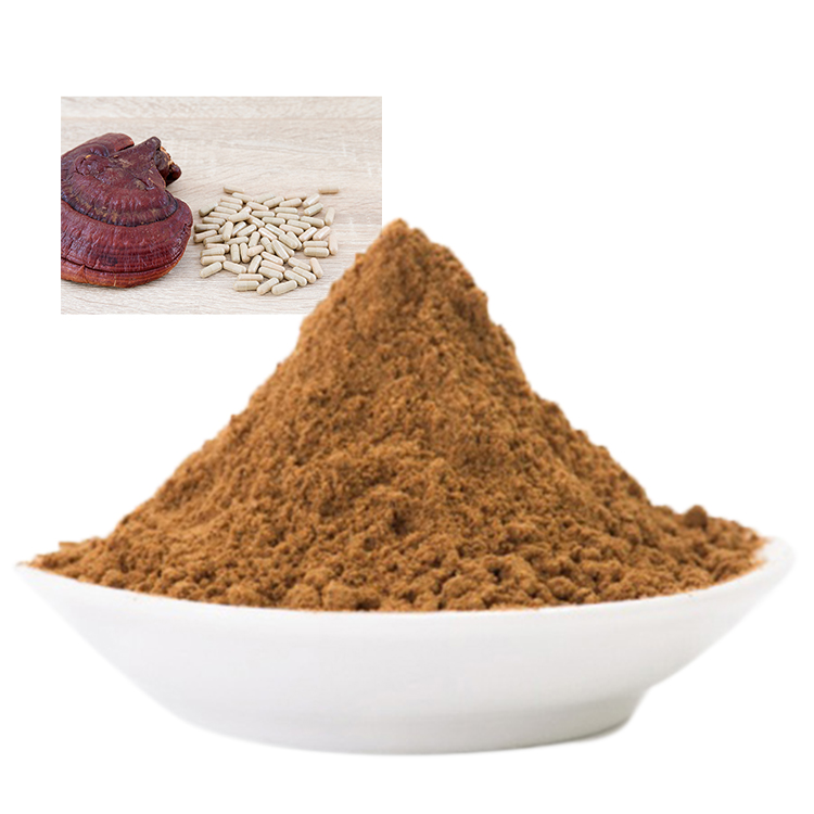 Organic Red Reishi vs Non-Organic: Key Differences