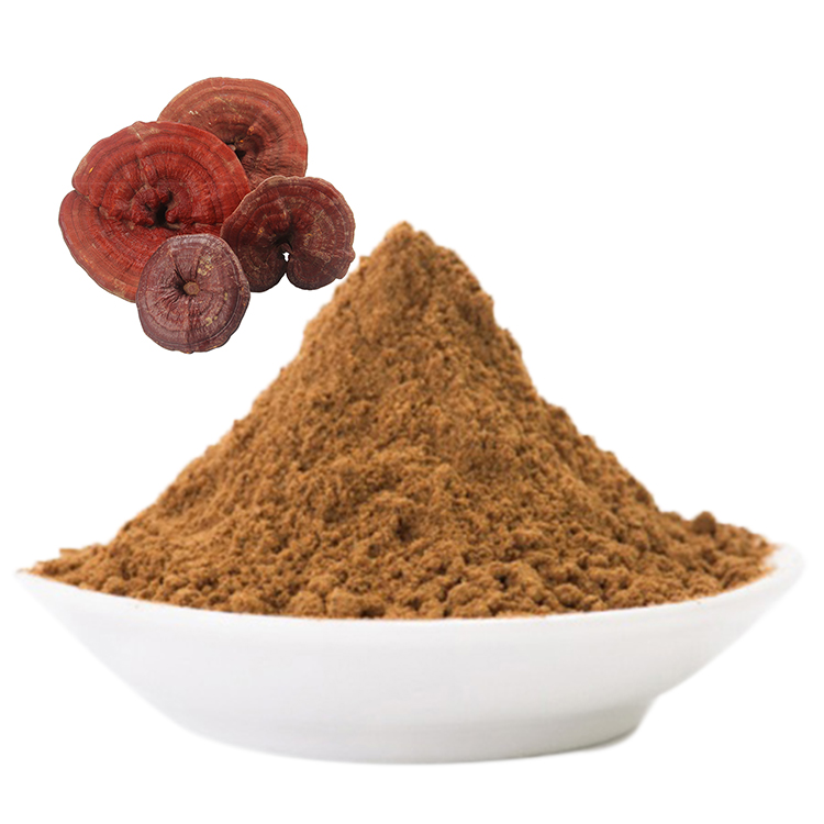 Organic Red Reishi vs Non-Organic: Key Differences