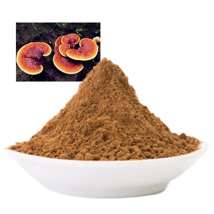 Red Reishi Mushroom for Liver Health: Fact or Hype?