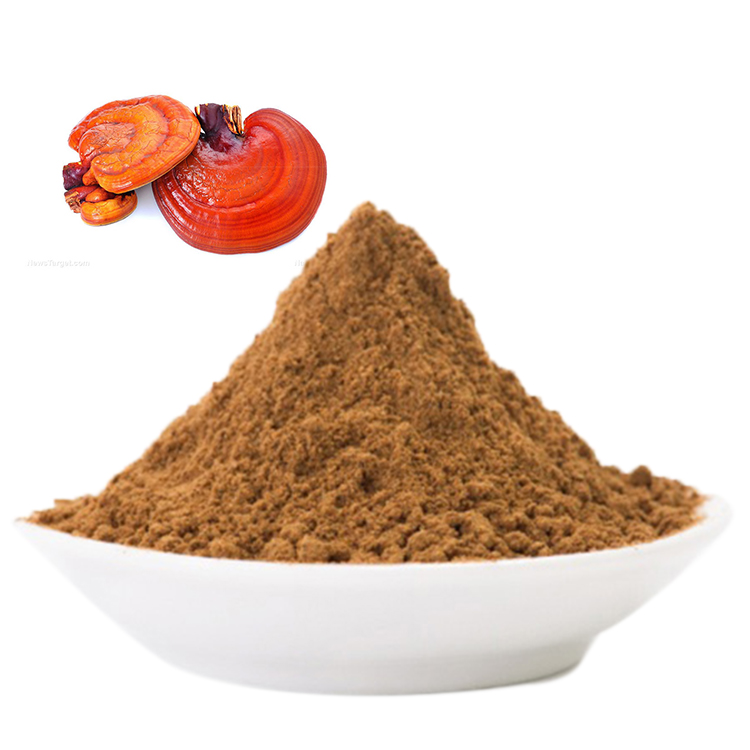 Red Reishi Mushroom Lucidum Extract: What You Need to Know