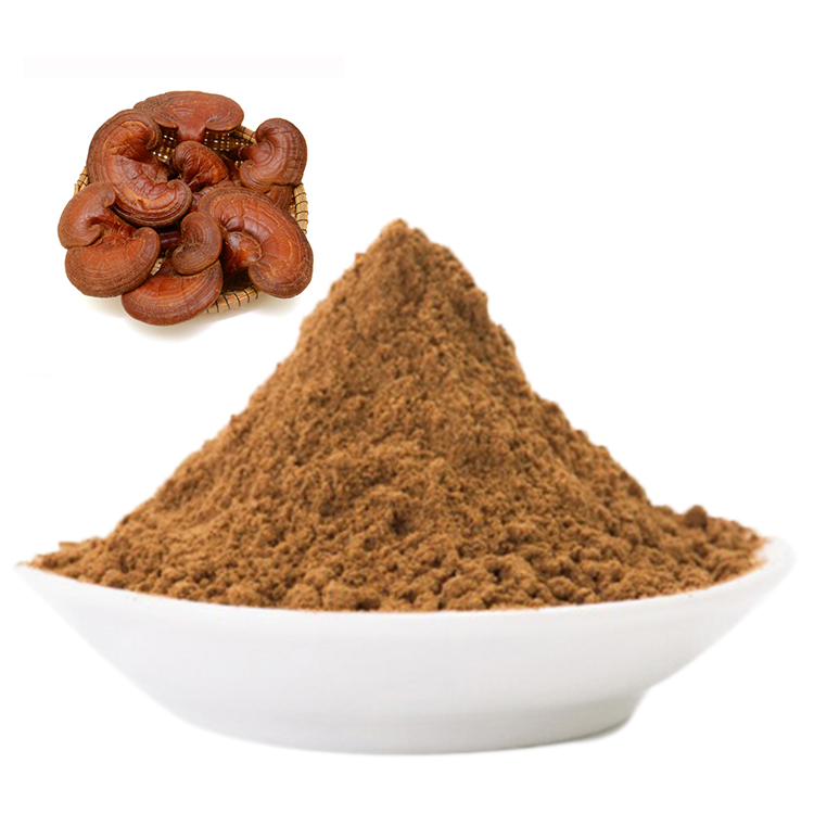 Red Reishi Mushroom for Liver Health: Fact or Hype?