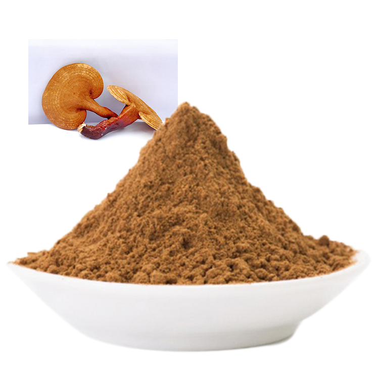 Ganoderma Extract for Inflammation and Immunity