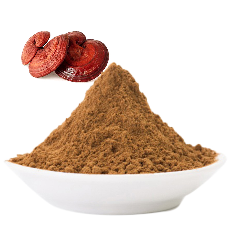 Red Reishi Mushroom for Liver Health: Fact or Hype?