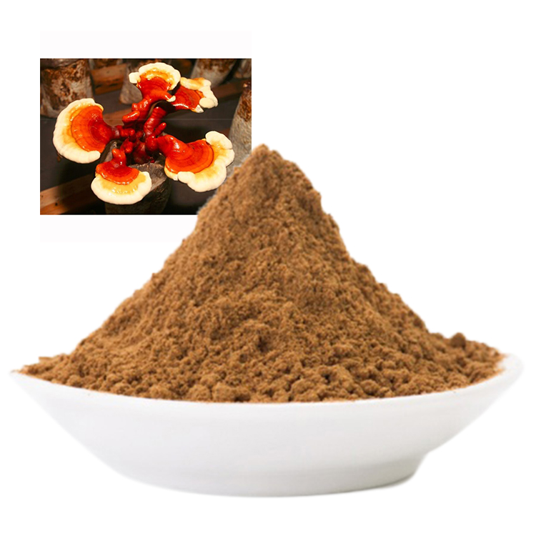 Red Reishi Mushroom for Liver Health: Fact or Hype?