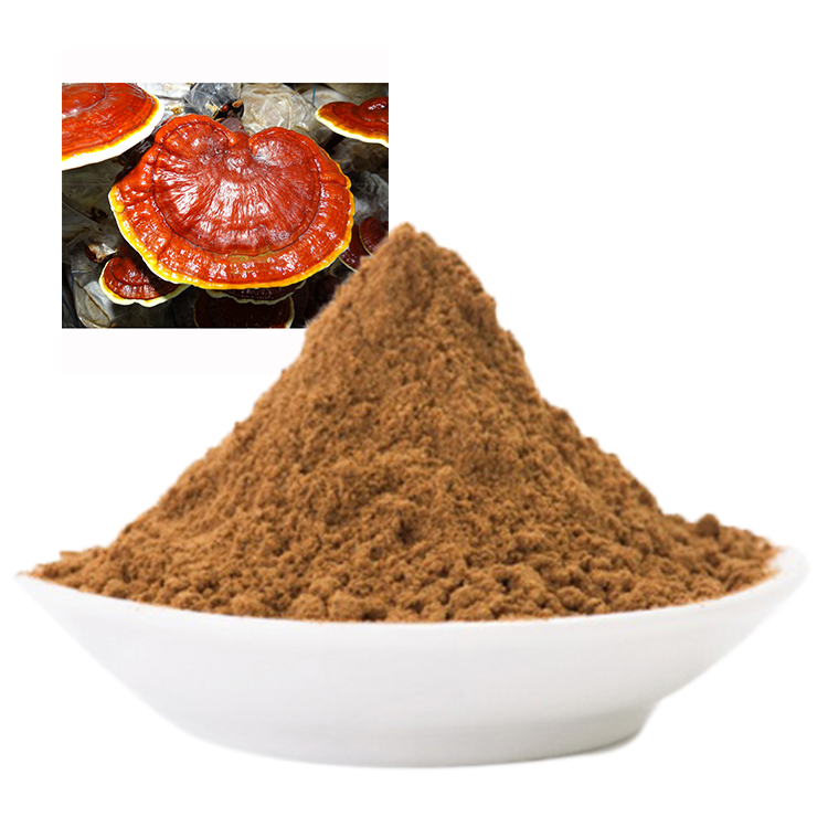 Reishi vs Red Ganoderma: What’s the Difference?