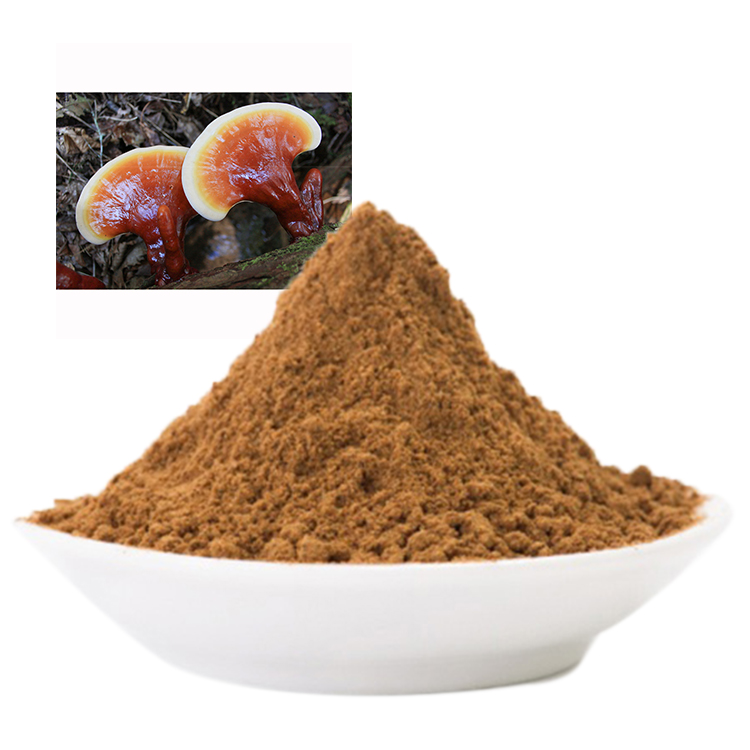 Reishi vs Red Ganoderma: What’s the Difference?