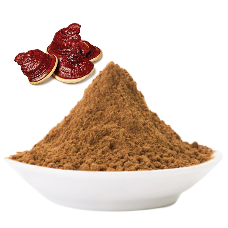 Reishi vs Red Ganoderma: What’s the Difference?