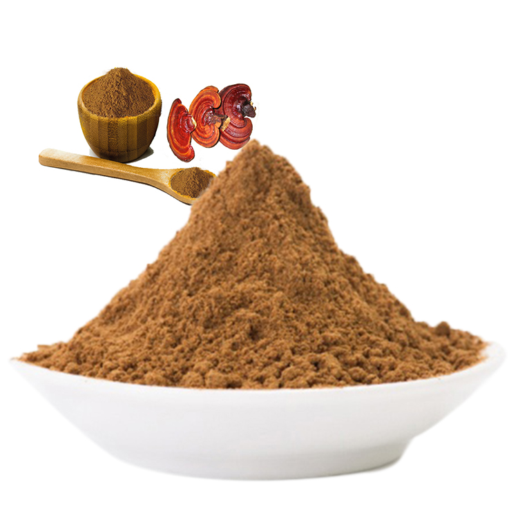Reishi vs Red Ganoderma: What’s the Difference?